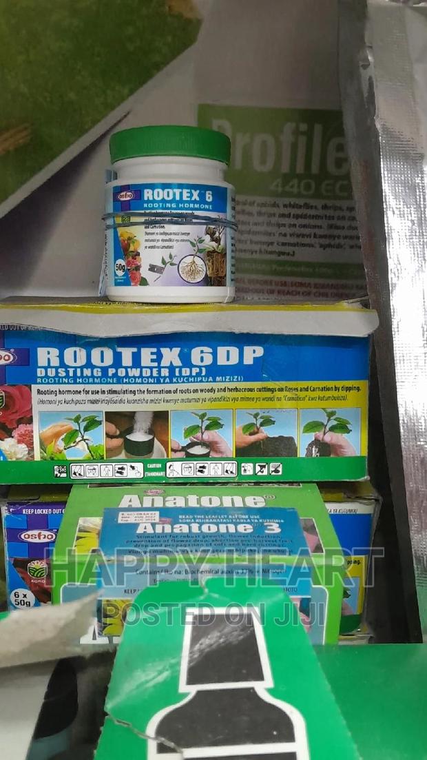 Rootex Plant Rooting Hormone 50gms - thumbnail 6