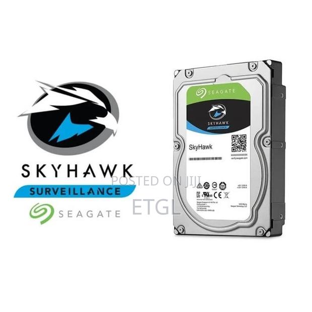 Seagate Skyhawk Hard Drive 18tb Surveillance - main view