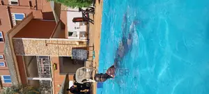 Swimming Just for You