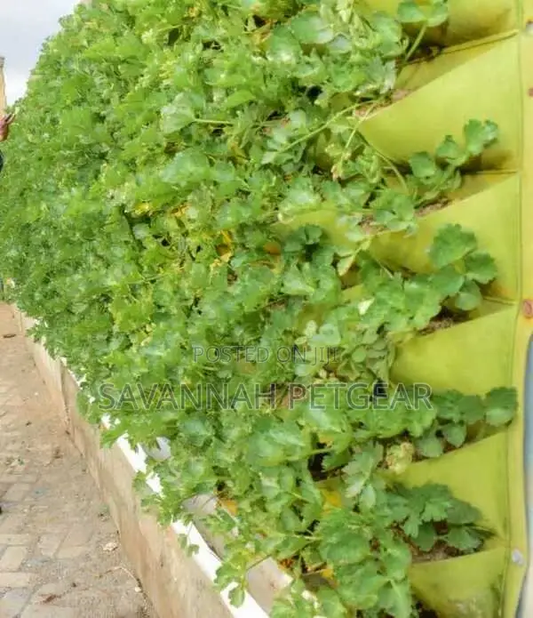 Hydroponic Hanging Gardens -64 Pockets