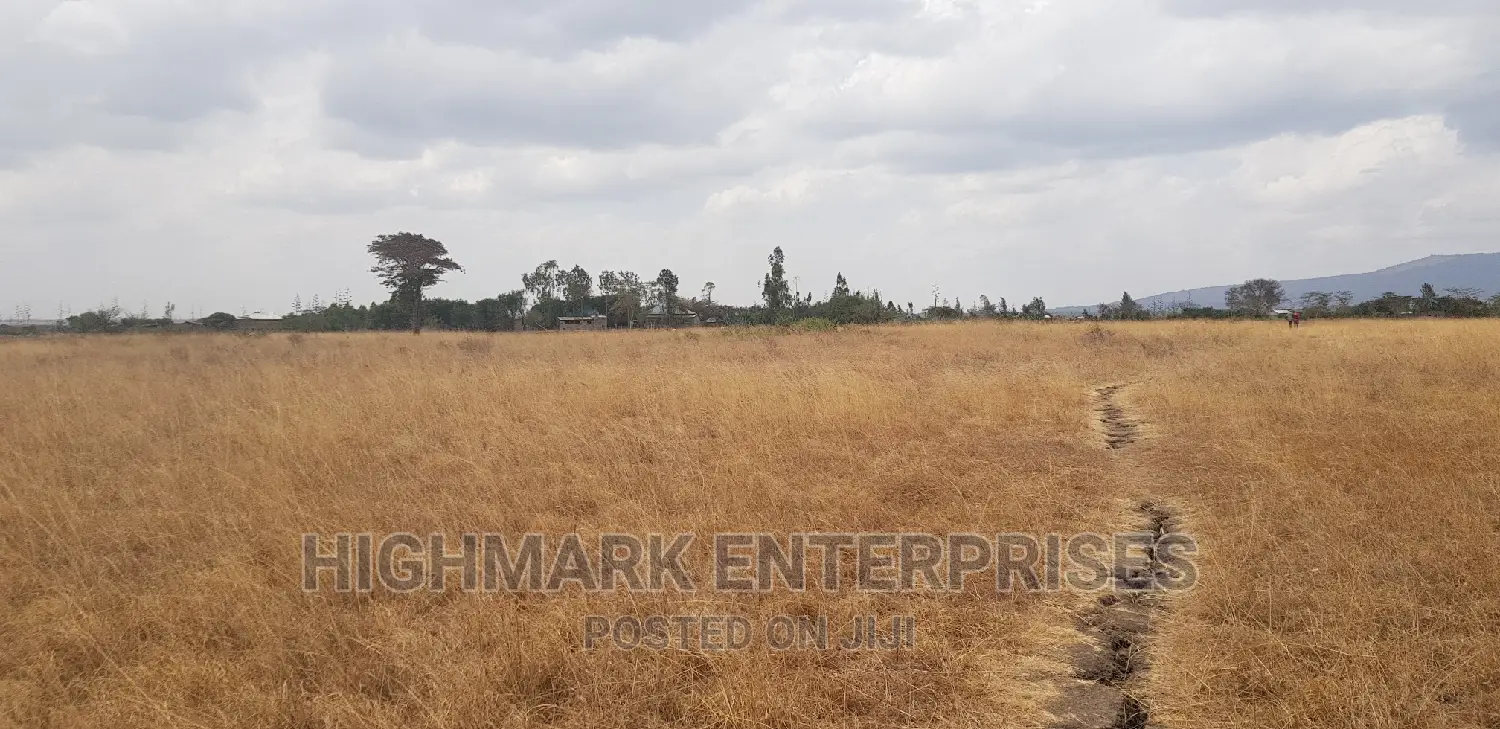 14 Acres for Sale in Malaa