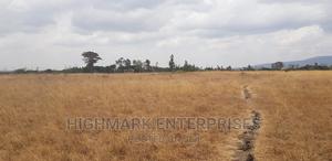 14 Acres for Sale in Malaa - thumbnail 2