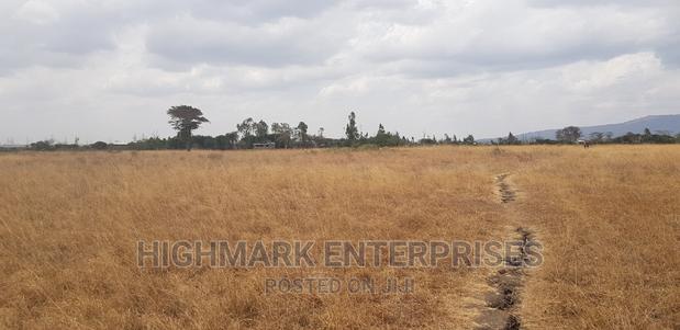 14 Acres for Sale in Malaa - main view