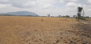 14 Acres for Sale in Malaa