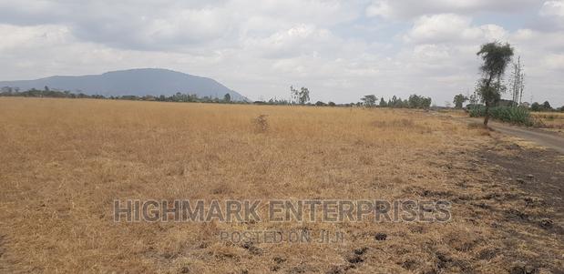 14 Acres for Sale in Malaa - thumbnail 3