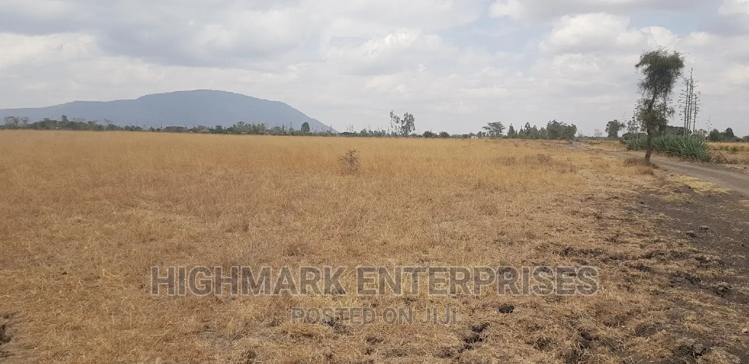 14 Acres for Sale in Malaa