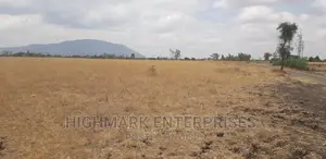 14 Acres for Sale in Malaa