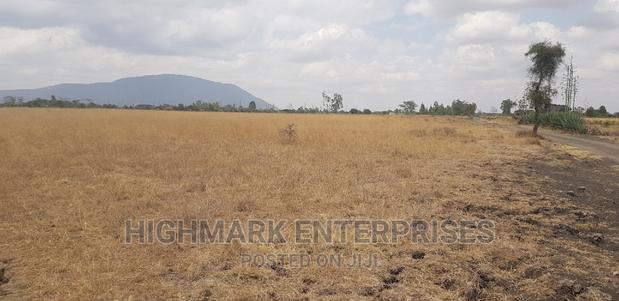 14 Acres for Sale in Malaa - thumbnail 4