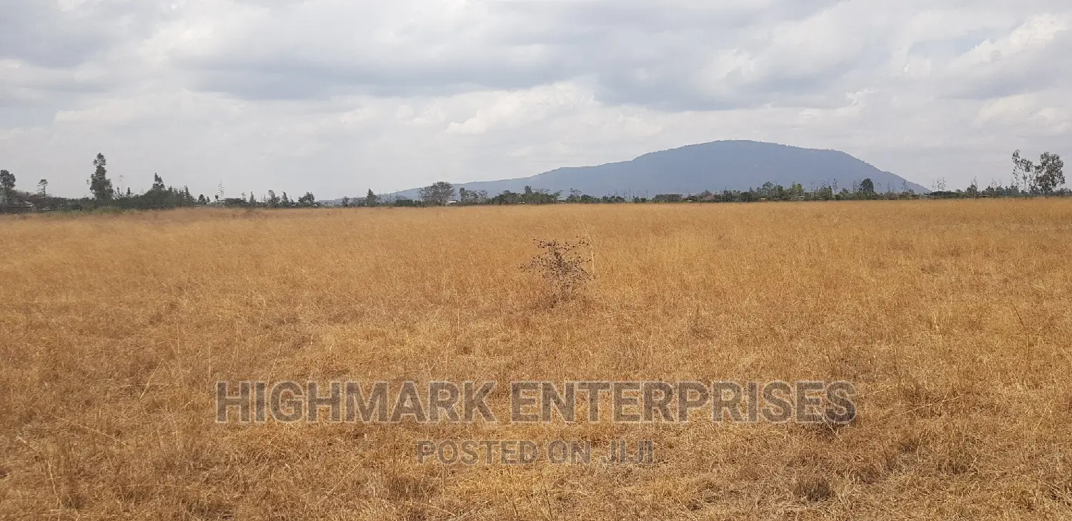 14 Acres for Sale in Malaa