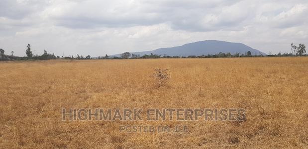 14 Acres for Sale in Malaa - thumbnail 5