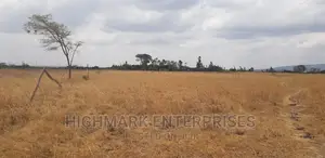 14 Acres for Sale in Malaa