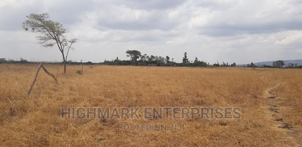 14 Acres for Sale in Malaa - thumbnail 6