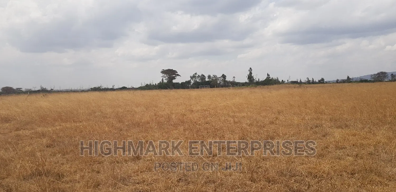 14 Acres for Sale in Malaa