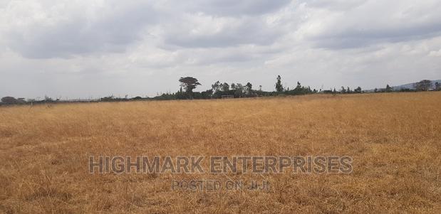 14 Acres for Sale in Malaa - thumbnail 7
