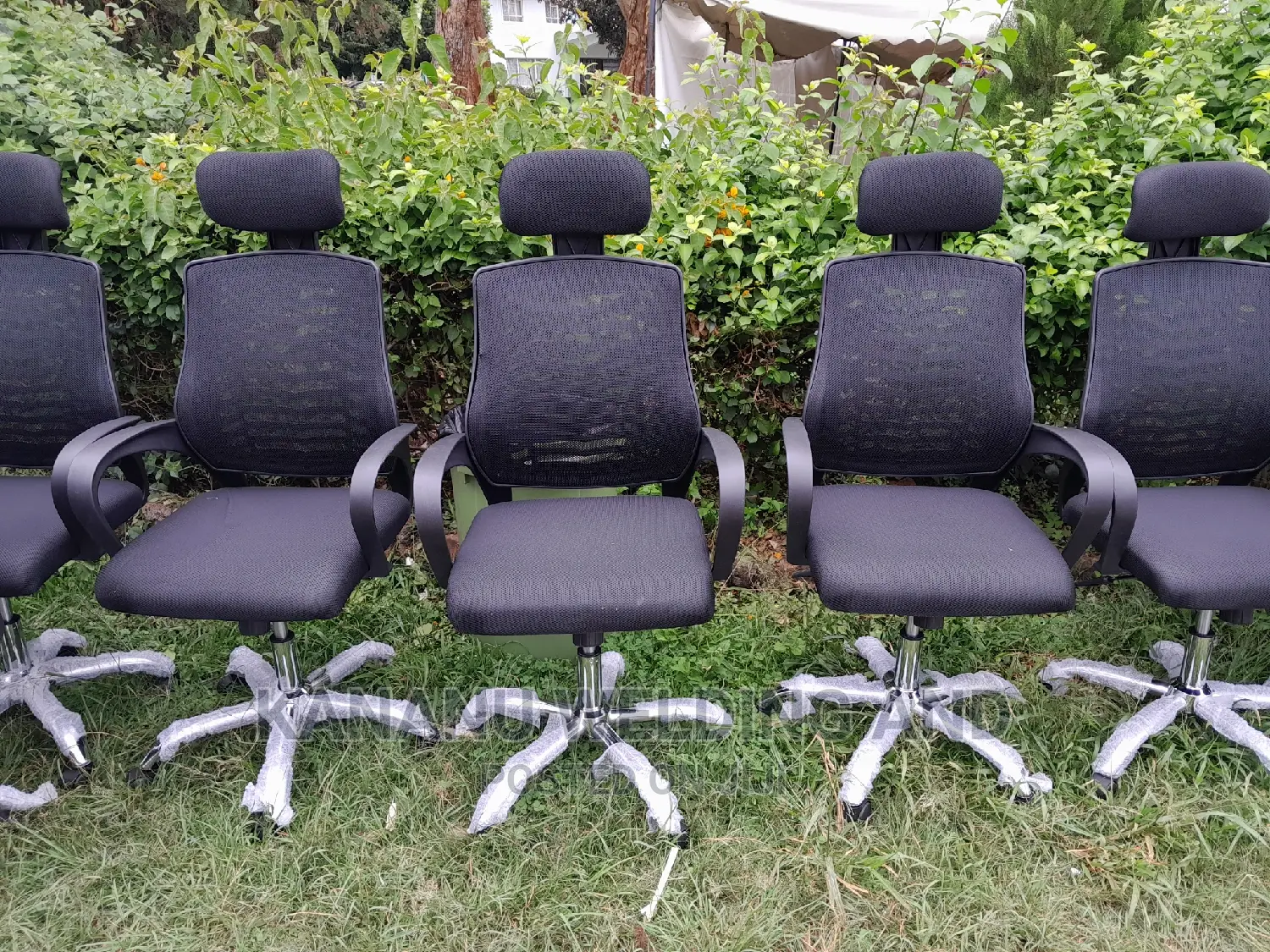 Imported Office Chair