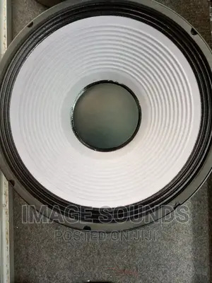 JBL Naked Speaker 15inch