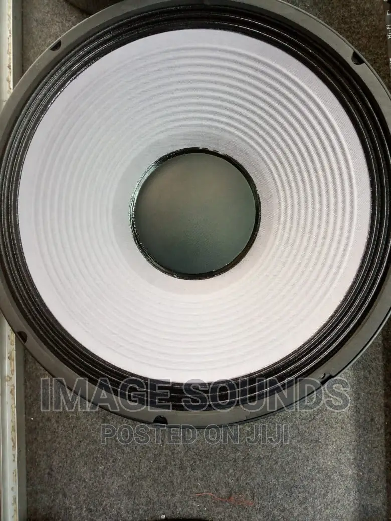 JBL Naked Speaker 15inch