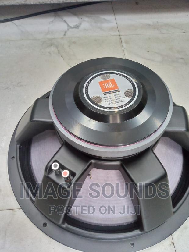 JBL Naked 18inch Bass Speaker