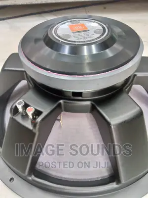 JBL Naked 18inch Bass Speaker