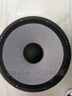 JBL Naked 18inch Bass Speaker