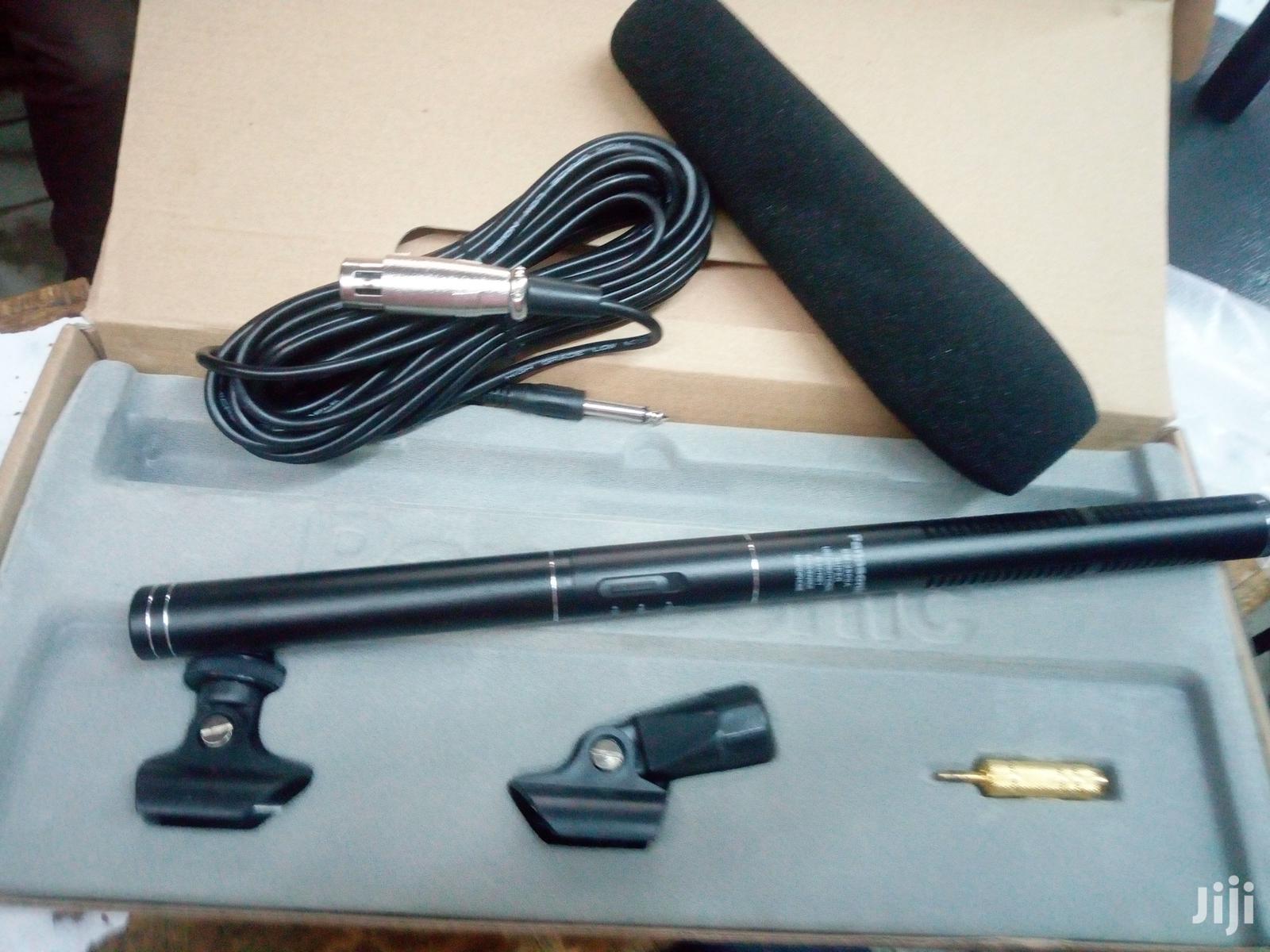 Boom Condenser Microphone