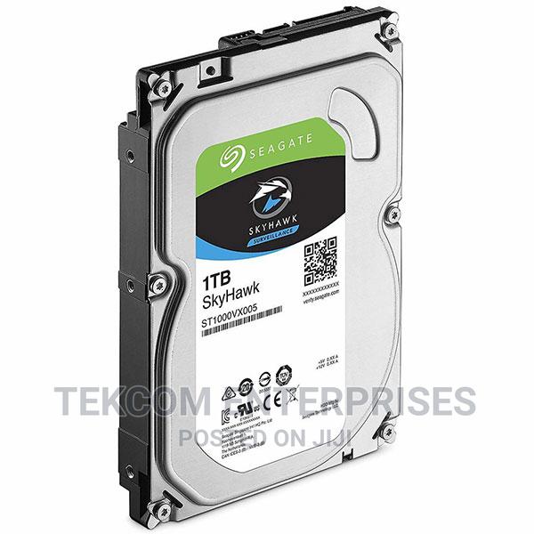Seagate Skyhawk 1tb HDD - main view