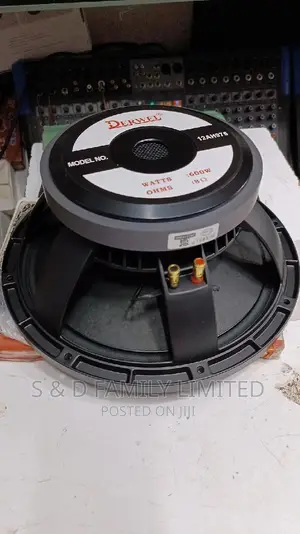 Derwel 12 Inch 12AH975 Speaker