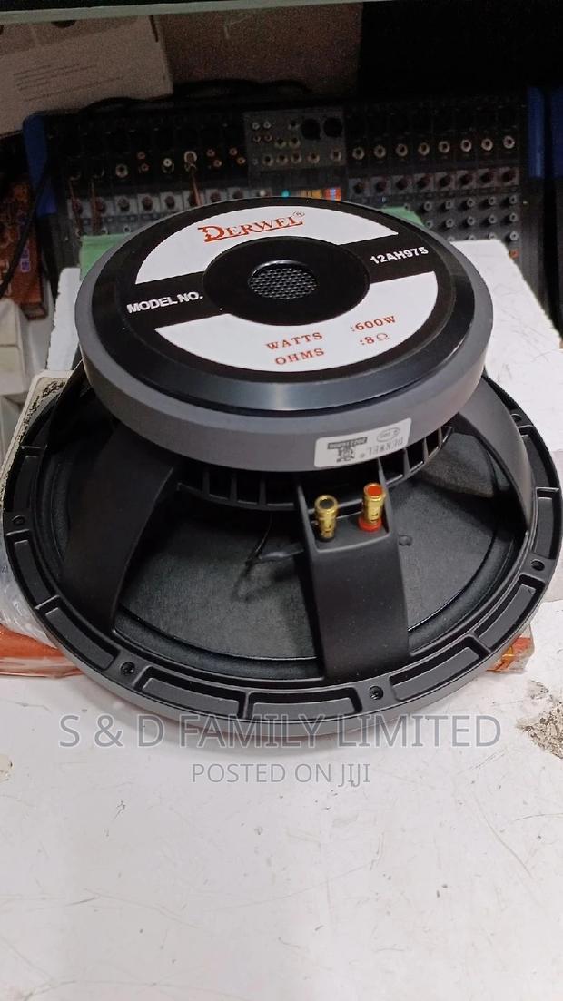 Derwel 12 Inch 12AH975 Speaker