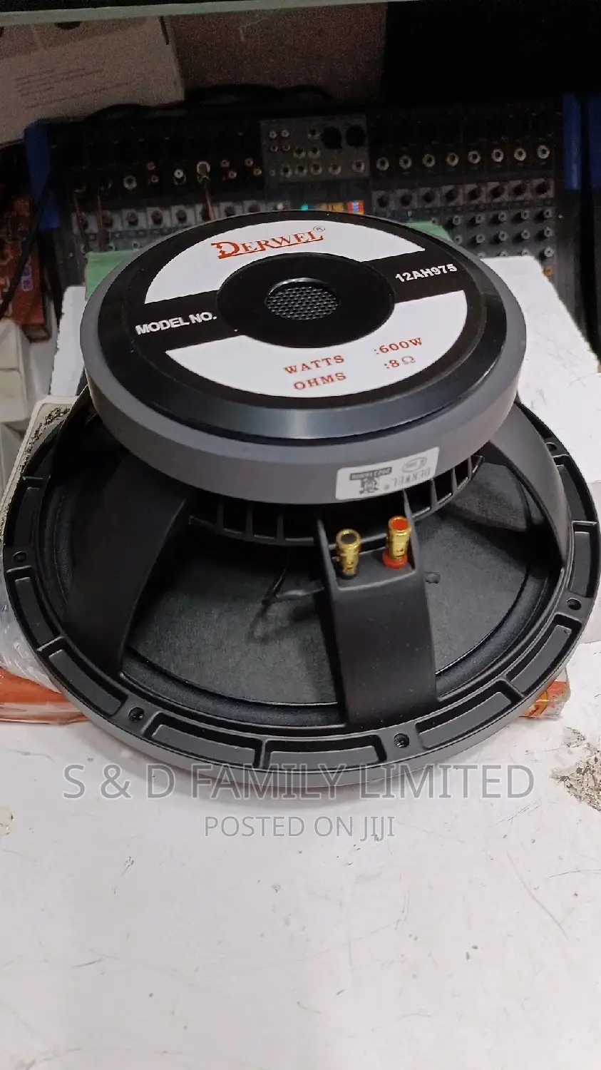 Derwel 12 Inch 12AH975 Speaker