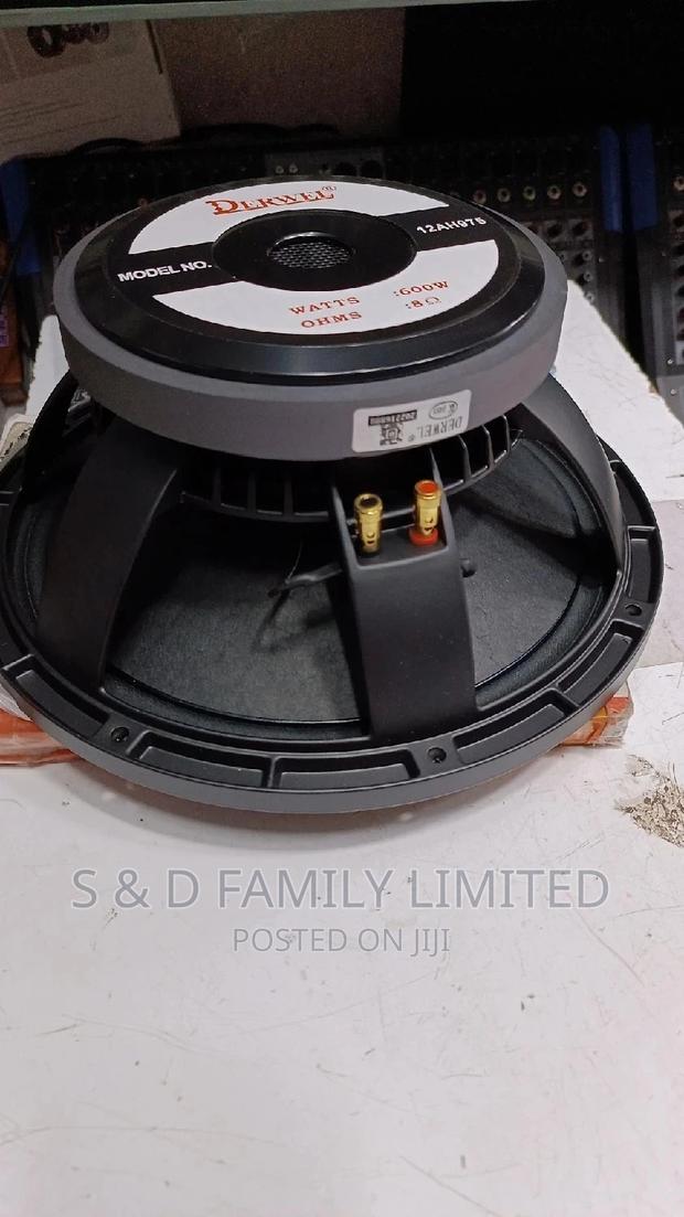 Derwel 12 Inch 12AH975 Speaker - thumbnail 2