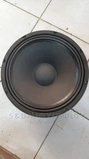 Derwel 12 Inch 12AH975 Speaker