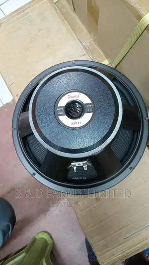 Derwel 12 Inch 12AH975 Speaker