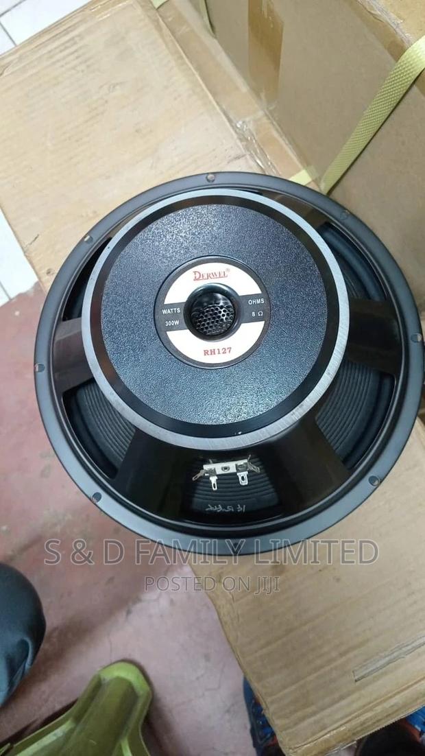 Derwel 12 Inch 12AH975 Speaker - thumbnail 4