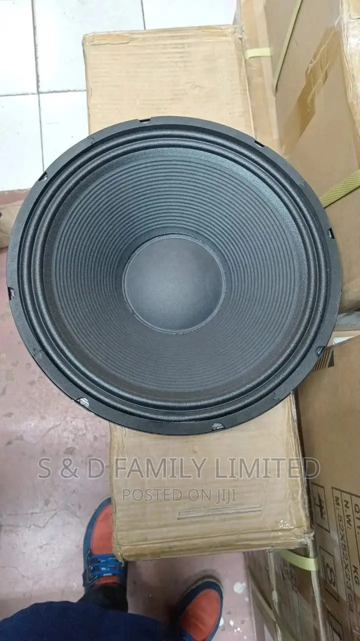 Derwel 12 Inch 12AH975 Speaker