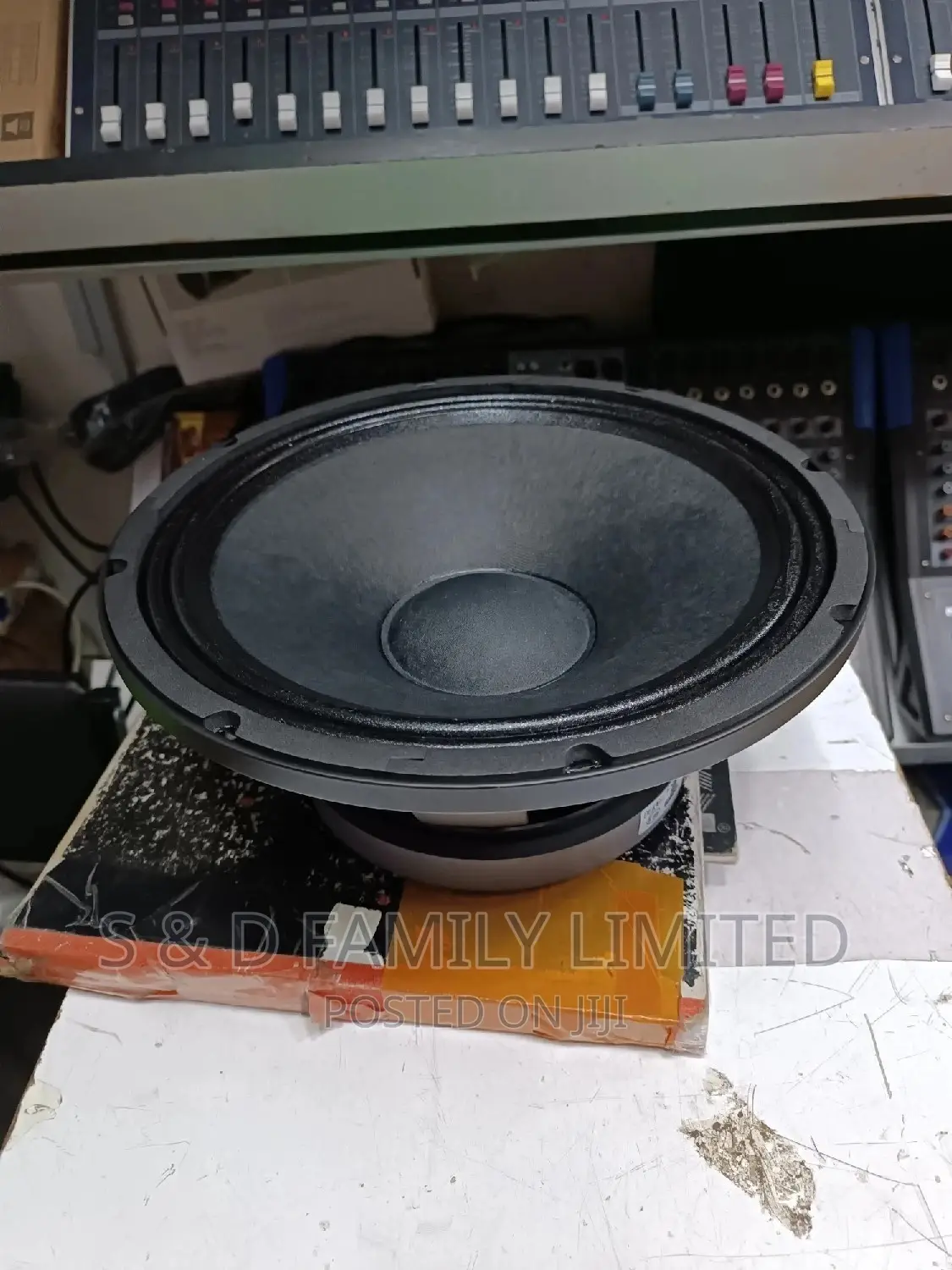 Derwel 12 Inch 12AH975 Speaker