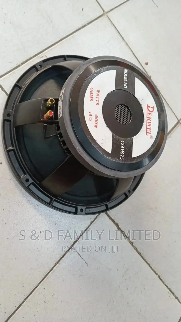 Derwel 12 Inch 12AH975 Speaker