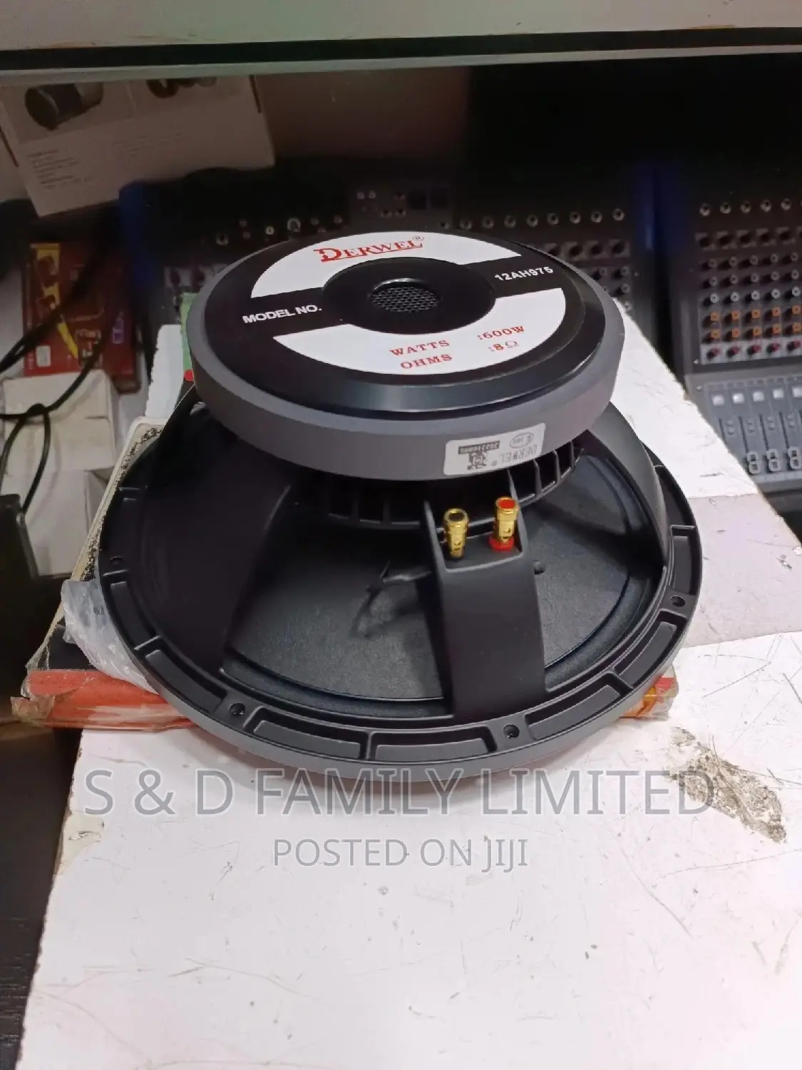 Derwel 12 Inch 12AH975 Speaker
