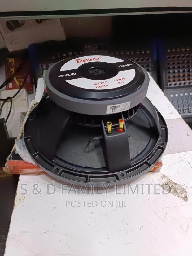 Derwel 12 Inch 12AH975 Speaker - thumbnail 8