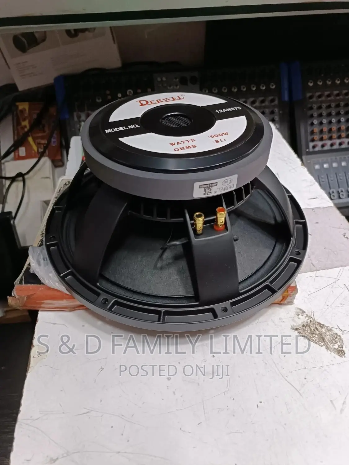 Derwel 12 Inch 12AH975 Speaker