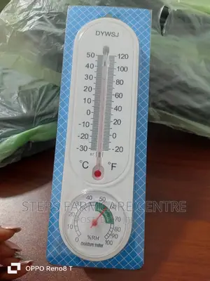 Manual Brooder Thermometer