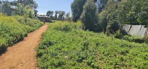 Commercial Plot Gor Dale In Kimumu Hawahii In Eldoret - thumbnail 2