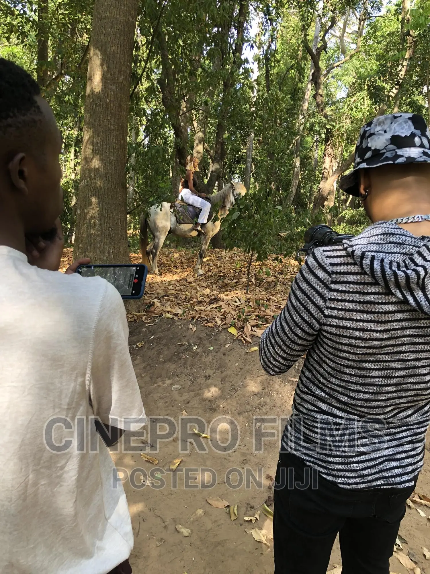 Wildlife Photography , Videography and Vlogs