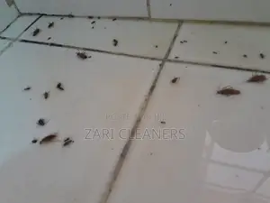 Fumigation Services in Dagoretti