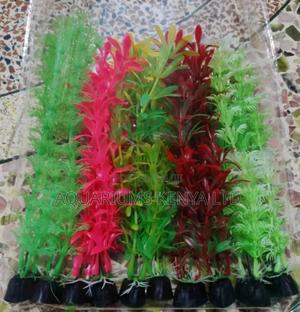 Long Plants , Aquarium Plants. - thumbnail 2