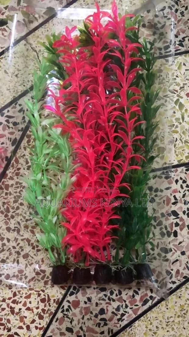 Aquarium Plants , Different Colours Decor. - main view