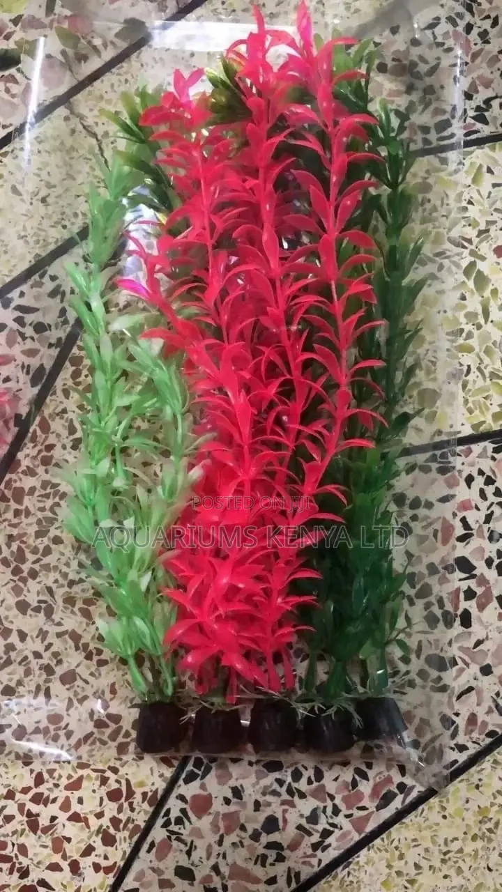 Aquarium Plants , Different Colours Decor.