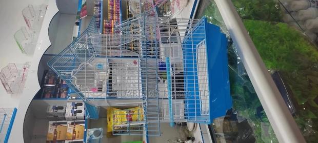 Blue Head Bird Cage for Small Birds - main view
