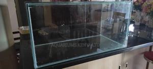 Black Background for Aquarium , Aquarium - thumbnail 2