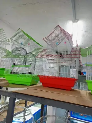 Green and Red Bird Cages for Transportation