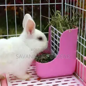 Rabbit, Bunny Guinea Pig Hay Pellets Feeder Rack Food